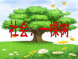 中班社会《一棵树》PPT课件社会：一棵树.pptx