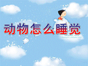中班科学《动物怎么睡觉》PPT课件教案科学：动物怎么睡觉.pptx