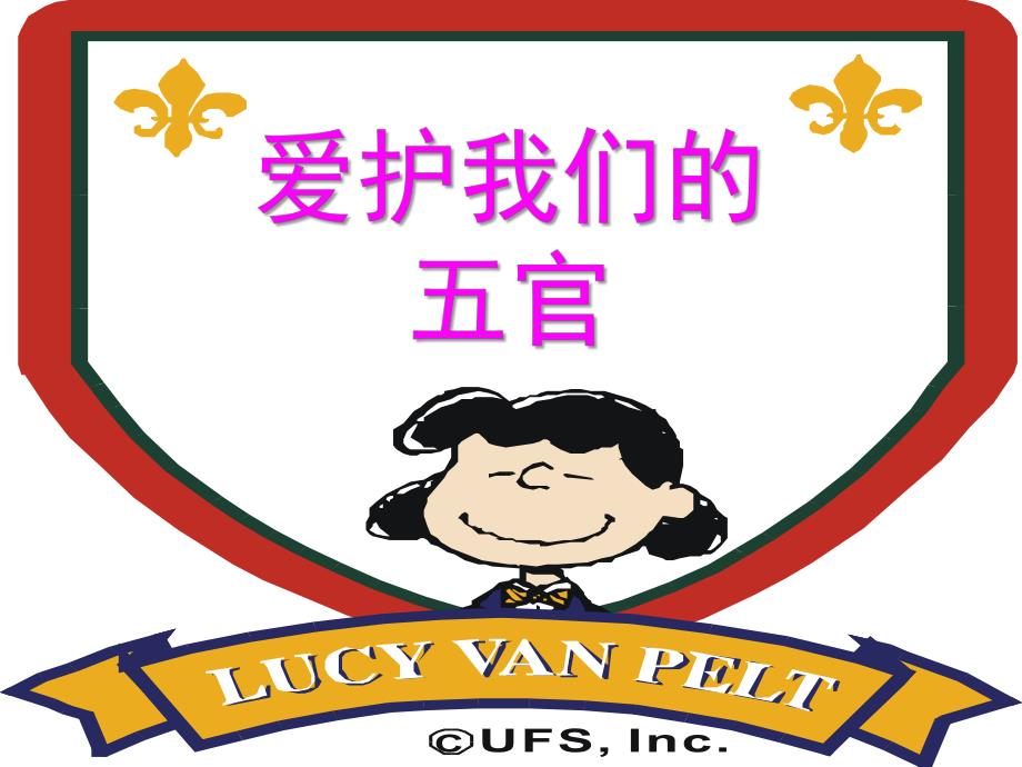 中班健康《爱护我们的五官》PPT课件爱护我们的五官-PPT课件.pptx_第1页