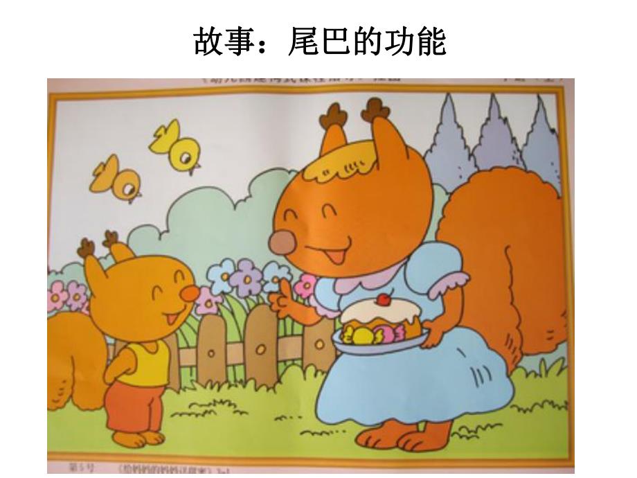 中班科学探究《动物尾巴的妙用》PPT课件动物尾巴的妙用.pptx_第2页