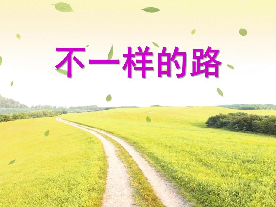 中班社会《不一样的路》PPT课件教案不一样的路.pptx_第1页