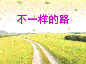 中班社会《不一样的路》PPT课件教案不一样的路.pptx