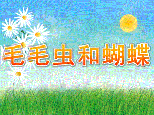 中班科学《毛毛虫和蝴蝶》PPT课件教案PPT课件.pptx
