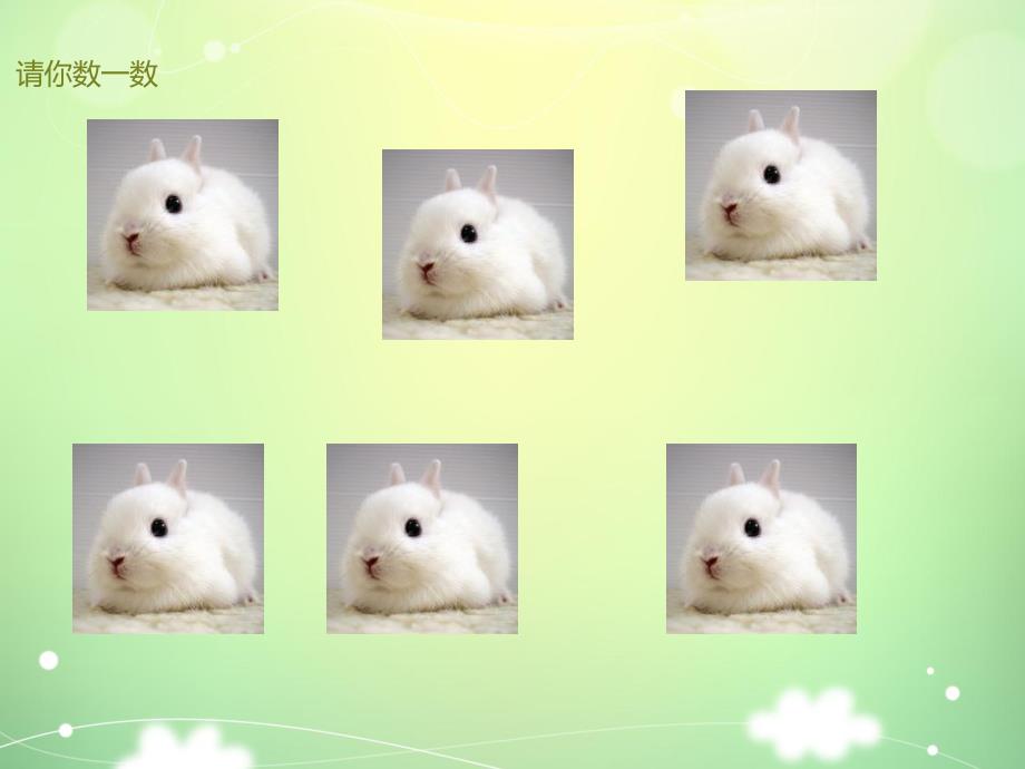 中班数学《对应比多少》PPT课件教案中班数学一一对应比多少.pptx_第2页