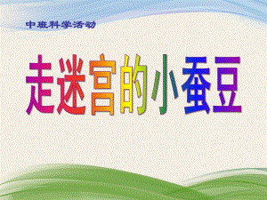 中班科学《走迷宫的小蚕豆》PPT课件走迷宫的小蚕豆.pptx