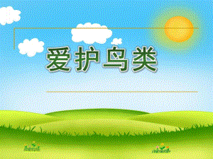 中班社会《爱护鸟类》PPT课件教案中班社会：爱护鸟.pptx