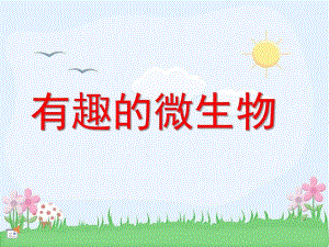 中班科学《有趣的微生物》PPT课件有趣的微生物.pptx