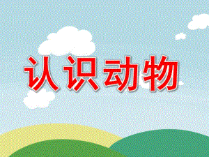 中班《认识动物》PPT课件教案图片小班教宝宝认识动物.pptx