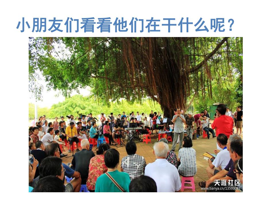 中班社会《爱护花草树木》PPT课件教案PPT课件.pptx_第3页