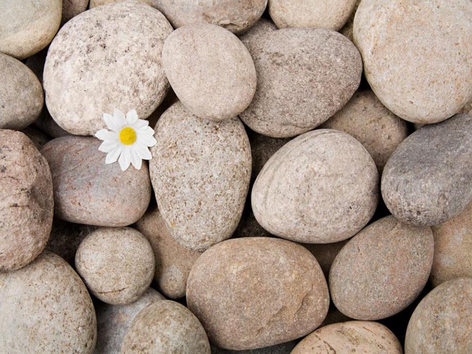 中班科学《有趣的石头》PPT课件教案科学：有趣的石头.pptx_第3页