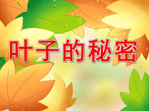 中班科学活动《叶子的秘密》PPT课件教案PPT课件.pptx