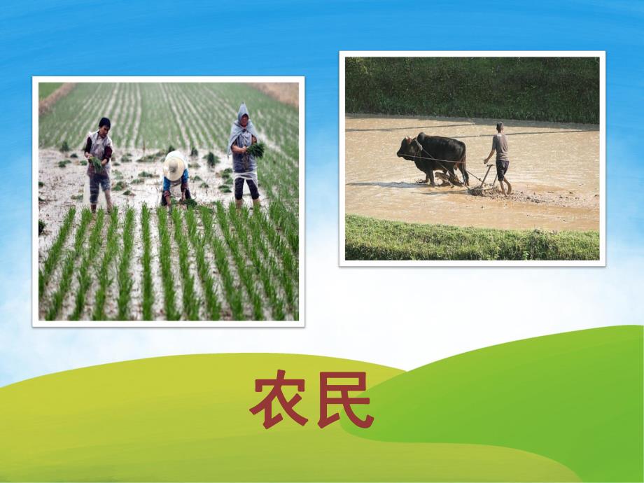 中班社会《快乐的劳动者》PPT课件PPT课件.pptx_第3页