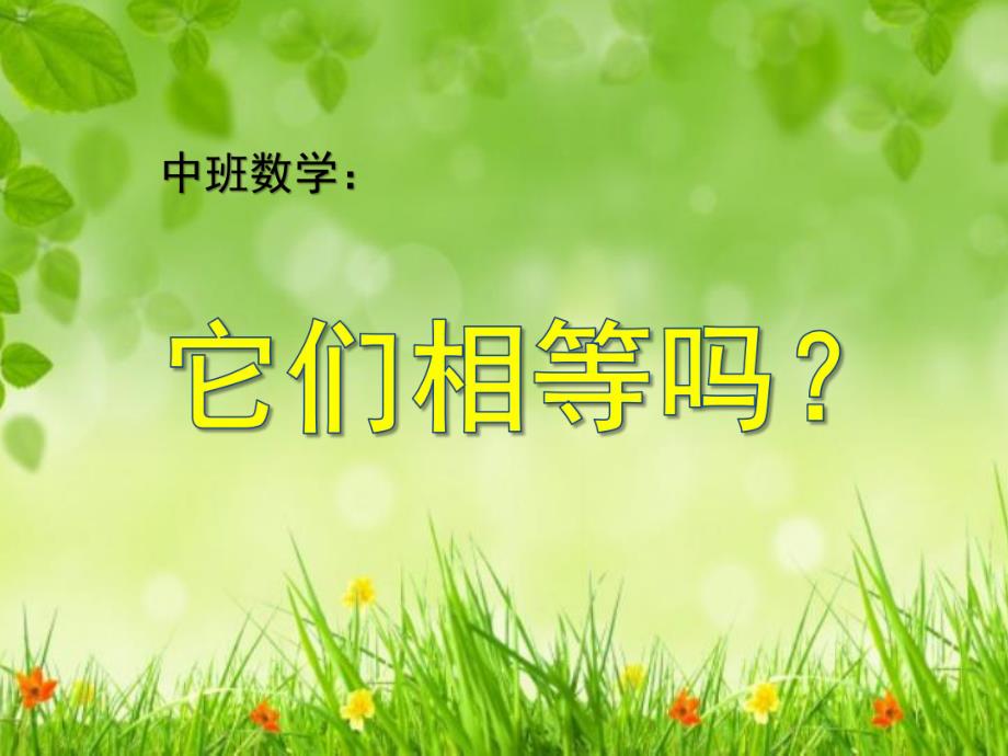 中班数学《它们相等吗？》PPT课件教案.pptx_第1页