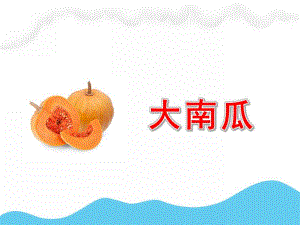 中班美术《大南瓜》PPT课件教案PPT课件.pptx