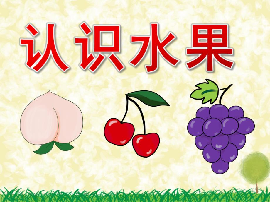 中班《认识水果》PPT课件教案PPT课件.pptx_第1页