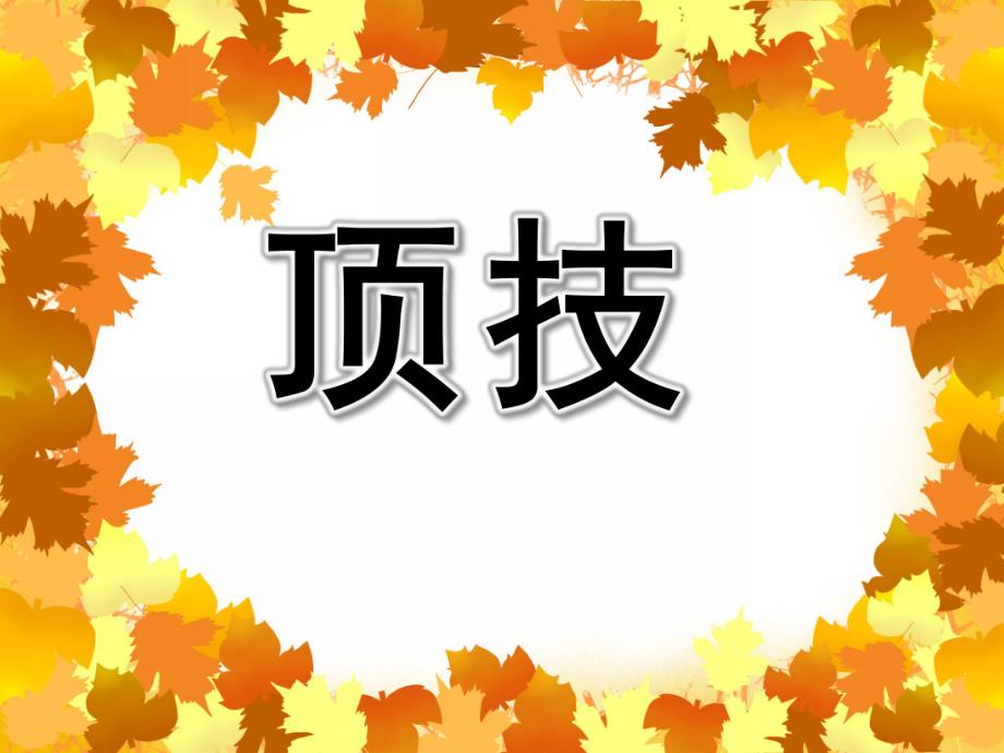 中班科学《顶技》PPT课件教案中班科学《顶技》课件.pptx_第1页
