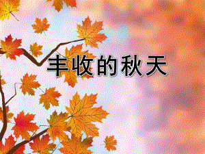 中班社会《丰收的天》PPT课件教案微课件.pptx