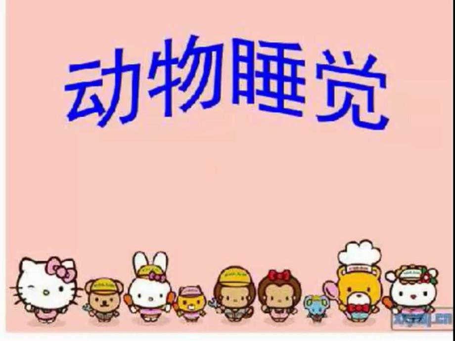 中班科学《动物怎样睡觉》中班科学《动物怎样睡觉》课件.pptx_第1页