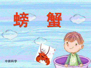 中班科学《螃蟹》PPT课件教案中班科学PPT-螃蟹.pptx