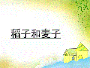 中班《稻子和麦子》PPT课件教案中班《稻子和麦子》.pptx