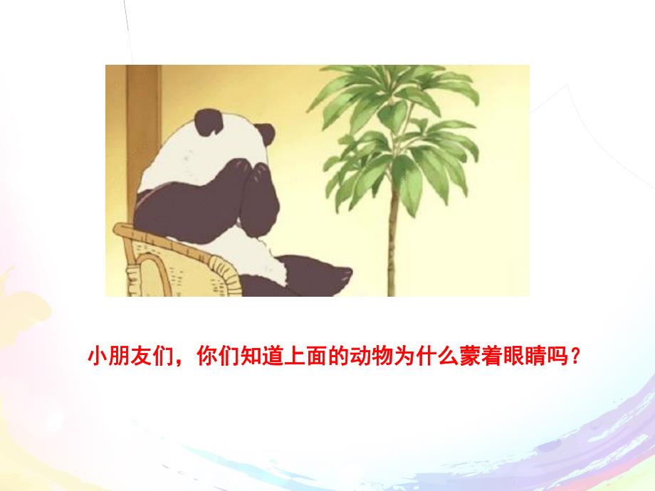 中班科学《国宝大熊猫》PPT课件教案《认识大熊猫》课件.pptx_第2页