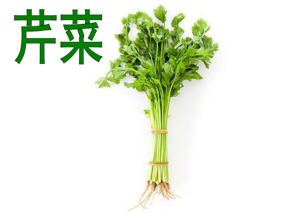 中班健康《芹菜》PPT课件教案PPT课件.pptx_第3页