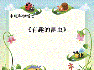 中班科学《有趣的昆虫》中班科学《有趣的昆虫》课件.pptx