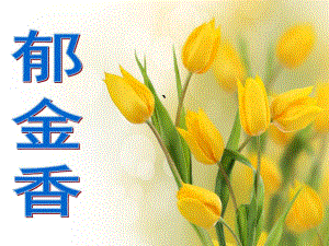 中班创意美术《郁金香》PPT课件中班创意美术：郁金香.pptx