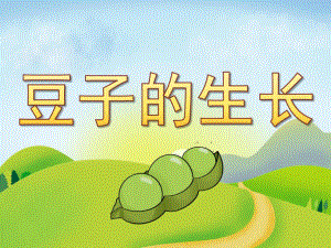 中班科学《豆子的生长》PPT课件教案PPT课件.pptx