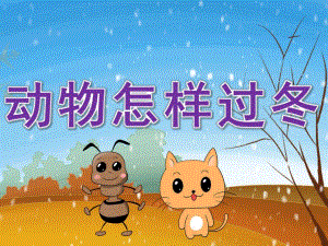 中班科学《动物怎样过冬》PPT课件教案PPT课件.pptx