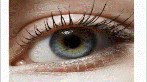 中班健康《爱护眼睛》中班健康《爱护眼睛》课件.pptx