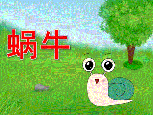 中班科学《蜗牛》PPT课件教案PPT课件.pptx