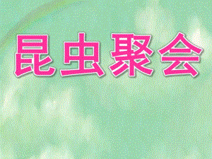 中班数学《昆虫聚会》PPT课件教案中班数学《昆虫聚会》.pptx