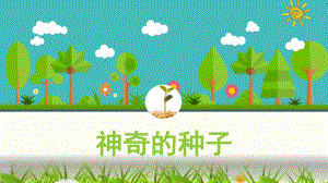 中班科学《神奇的种子》PPT课件教案微课件.pptx