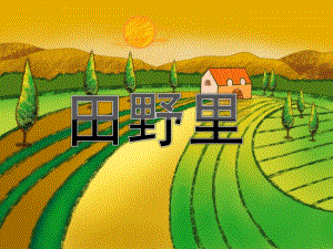 中班科学《田野里》PPT课件中班科学：田野里.pptx