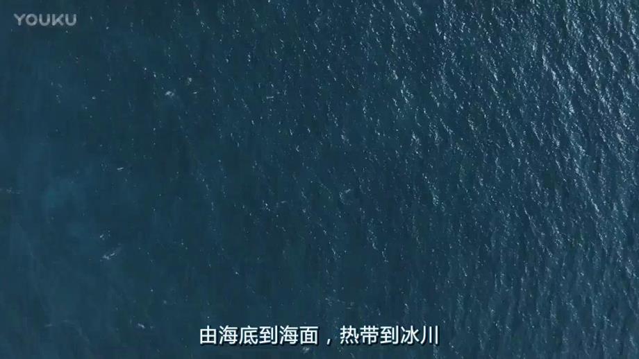 中班科学《动物住在哪》PPT课件动物住在哪.pptx_第3页