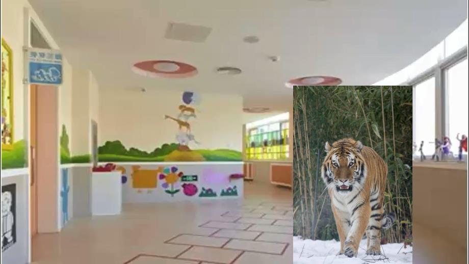 y670.中班科学《动物的尾巴》课件.pptx_第2页