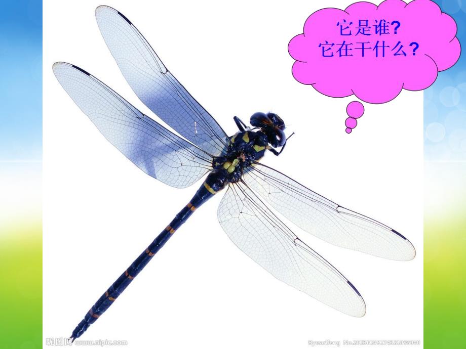 中班散文诗《圆圆的春天》PPT课件教案圆圆的春天-中班.pptx_第3页