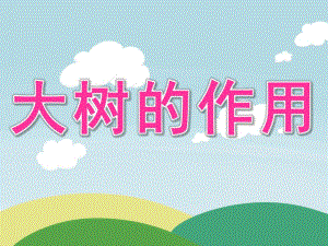 中班科学《大树的作用》PPT课件教案图片PPT课件.pptx
