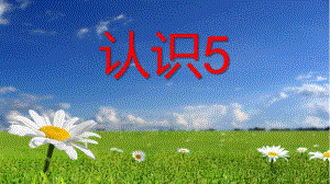 中班数学活动课《认识5》PPT课件教案认识.pptx