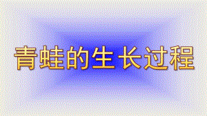 中班科学活动《青蛙的生长过程》PPT课件中班-科学-青蛙的生长过程.pptx