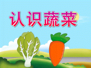 中班科学《认识蔬菜》PPT课件教案PPT课件.pptx