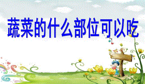 中班健康《蔬菜什么部位可以吃》PPT课件教案蔬菜什么部位可以吃.pptx
