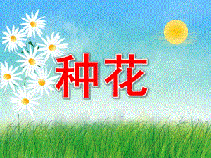 中班数学《种花》PPT课件教案数学种花.pptx