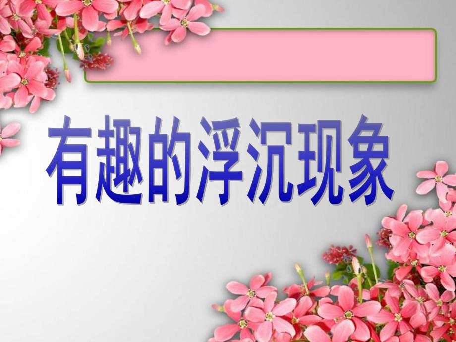 中班科学《有趣的沉浮》PPT课件教案.pptx_第1页