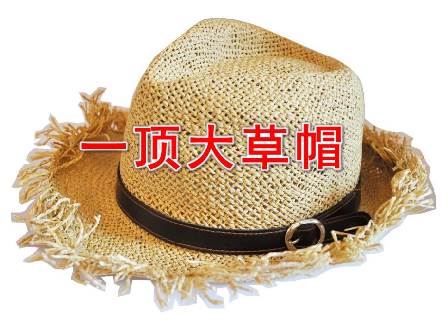 一顶大草帽故事PPT课件教案一顶大草帽.pptx_第1页