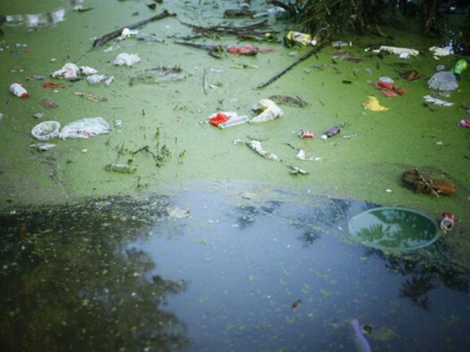 中班社会课件《小小清洁员》PPT课件教案中班社会《小小清洁员》课件.pptx_第3页