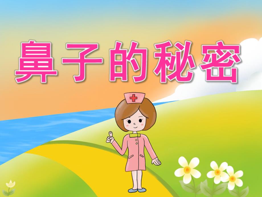 中班健康《鼻子的秘密》PPT课件教案PPT课件.pptx_第1页