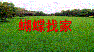 中班数学《蝴蝶找家》PPT课件蝴蝶找家.pptx