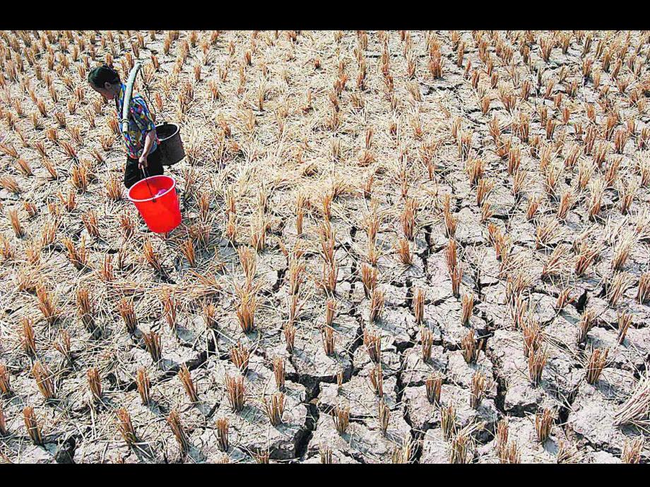 Y849-大班科学《种植乐》PPT课件.pptx_第2页